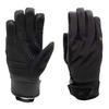 Extremities Mens Ski Gloves