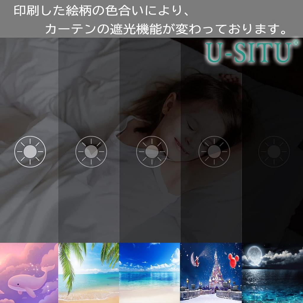 Landschaft Kalt UV Schiebe Innen Offen Natürlich Atmosphäre Verändern Breite 100 x Länge 110cm x Satz von CL0036XXXS U-SITU Doppelseitige Vorhänge,