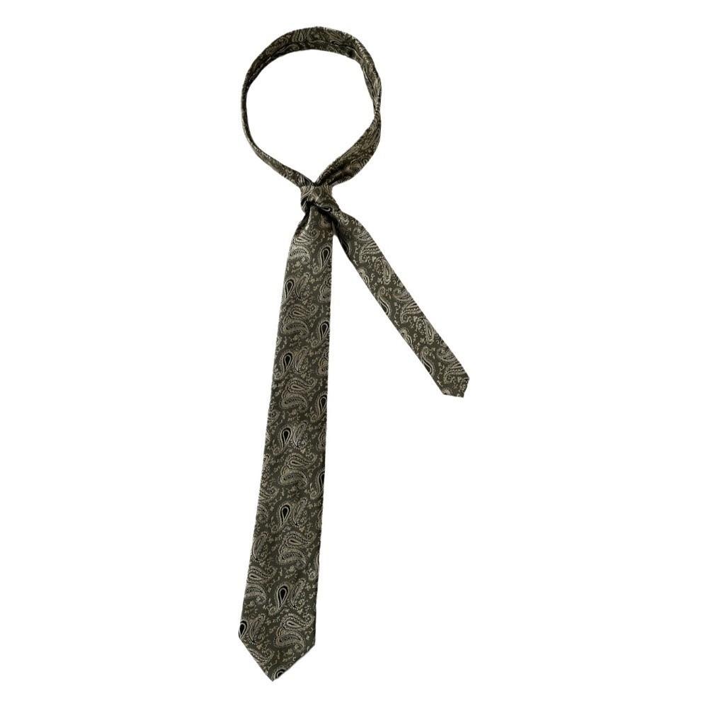 

Adjustable Narrow Tie Long Men Necktie Classic Cashew Print Tie Unisex зелений/сірий