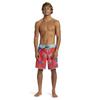 Quiksilver Men's All-Over Print 4-Way Stretch Water-Repellent Board Shorts (AQYBS03630 RMC6)