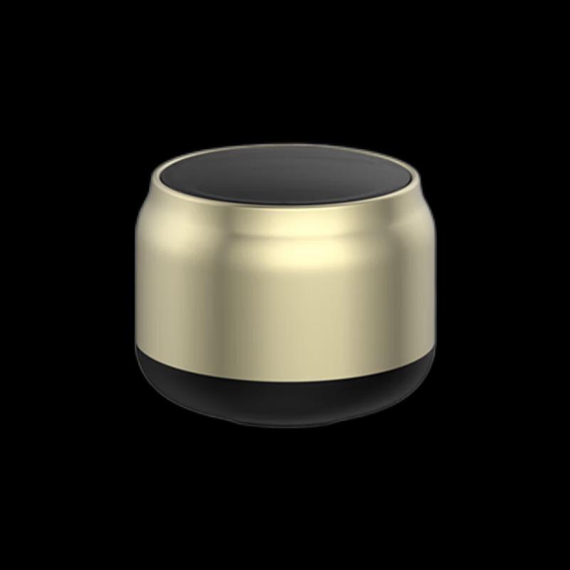 Newman BT31 Portable Bluetooth Speaker