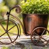 Fioriera Triciclo Vintage, Vaso da Fiori Rustico per Decorazione Giardino