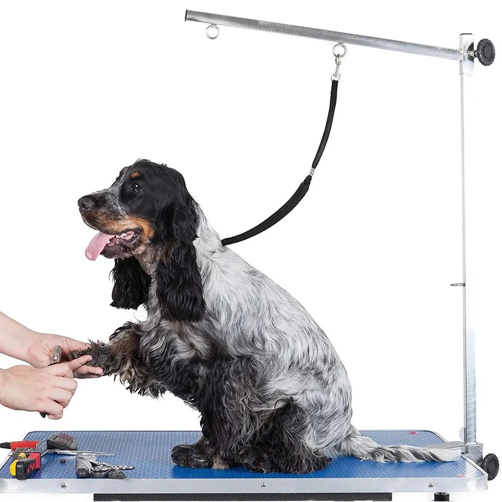 Pet Dog Cat Noose Loop Lock Clip Rope for Grooming Table Arm Bath Leash Leads Fixed Dogs Cats Adjustable Collar Pet Accessories
