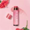 BURT’S BEES Tinted Lip Balm Hibiscus