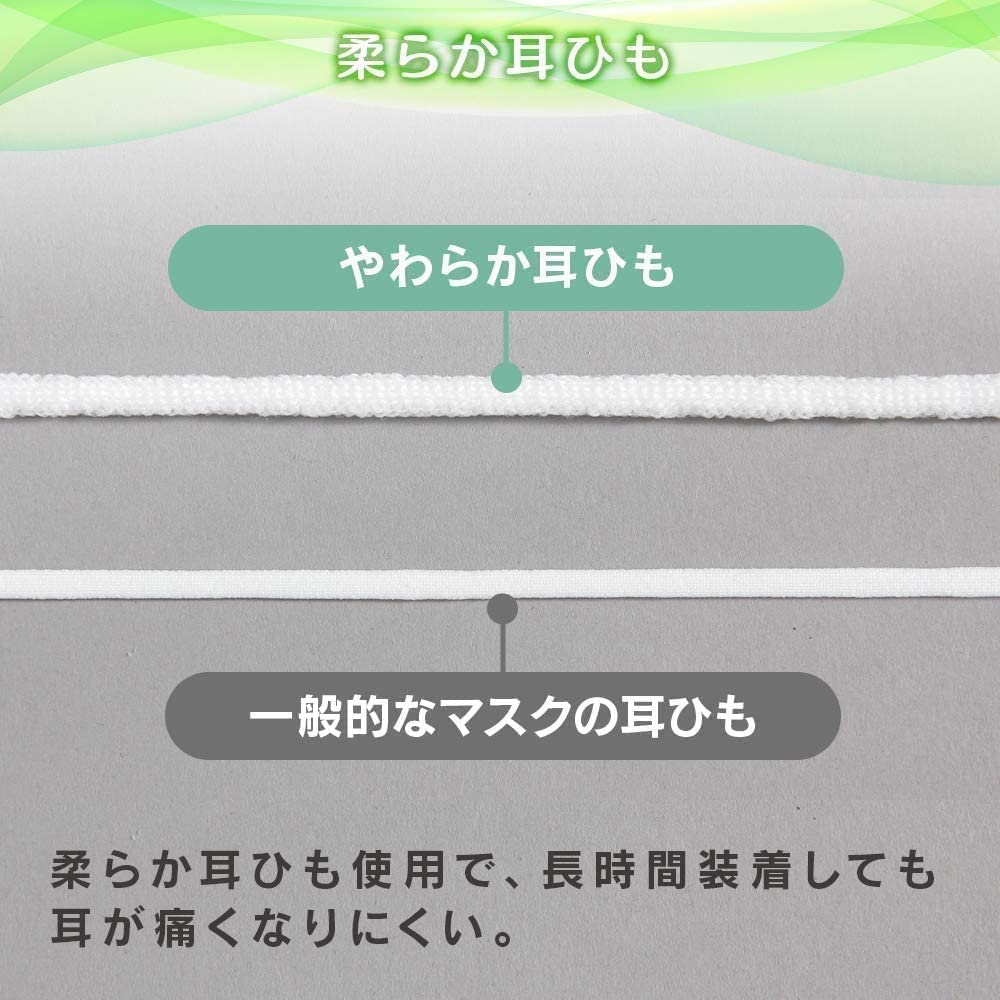 IRIS OHYAMA Disposable Nonwoven 120 Count Masks, Regular,