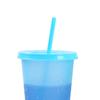 720ML Water Bottle Temperature Sensor Food Grade PP DIY Craft Color Changing Straw Water Tumbler