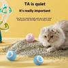 Rolling Ball Pet Gravity Cat Toy Pet Automatic Cat Teasing Ball Cat Toy for Self Fun and Relaxation