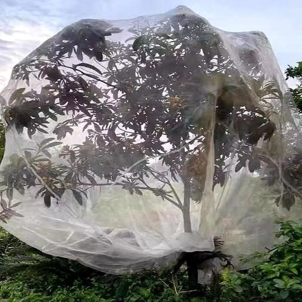 4-10m Bird Protection Net White Mesh Fruit Tree Netting Bird Plant Barrier  for Fruit Tree
