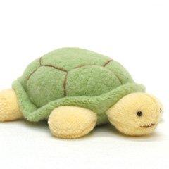 

Набор для изготовления чучела животных Animal Club Midori Turtle