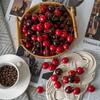 Simulation Cherry Model - Fake Cherries Cognitive Toy & Photography Prop