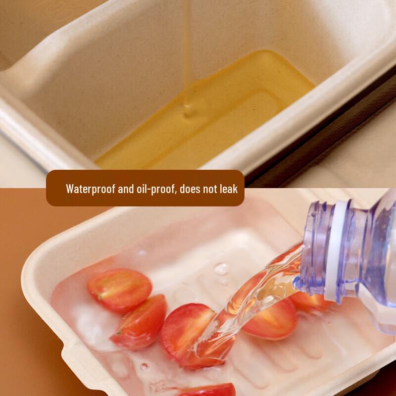 Biodegradable Square Disposable Takeaway Lunch Box