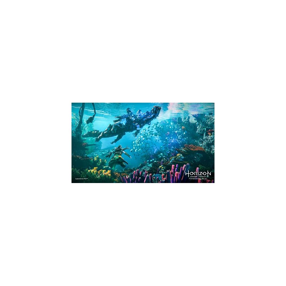 [PS4] Horizon Forbidden West (New Price Edition)