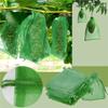 50PC Fruit Grape Protection Bags With Drawstring Fruit Netting Bags for Grapes Mango Veggies Reusable Pest Barrier Plant Bags