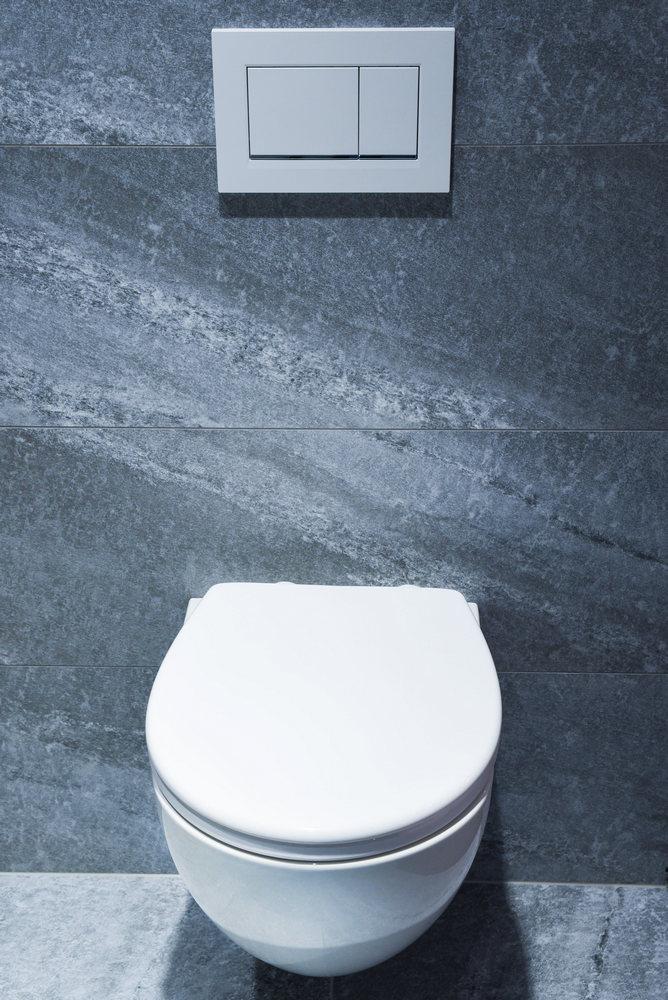 PP SWING TOILET SEAT