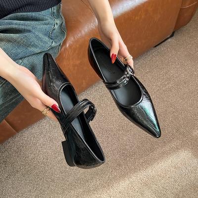 Szpiczaste retro buty Mary Jane na niskim obcasie dla kobiet, wiosenne nowe modele z temperamentem, pojedyncze buty dla kobiet