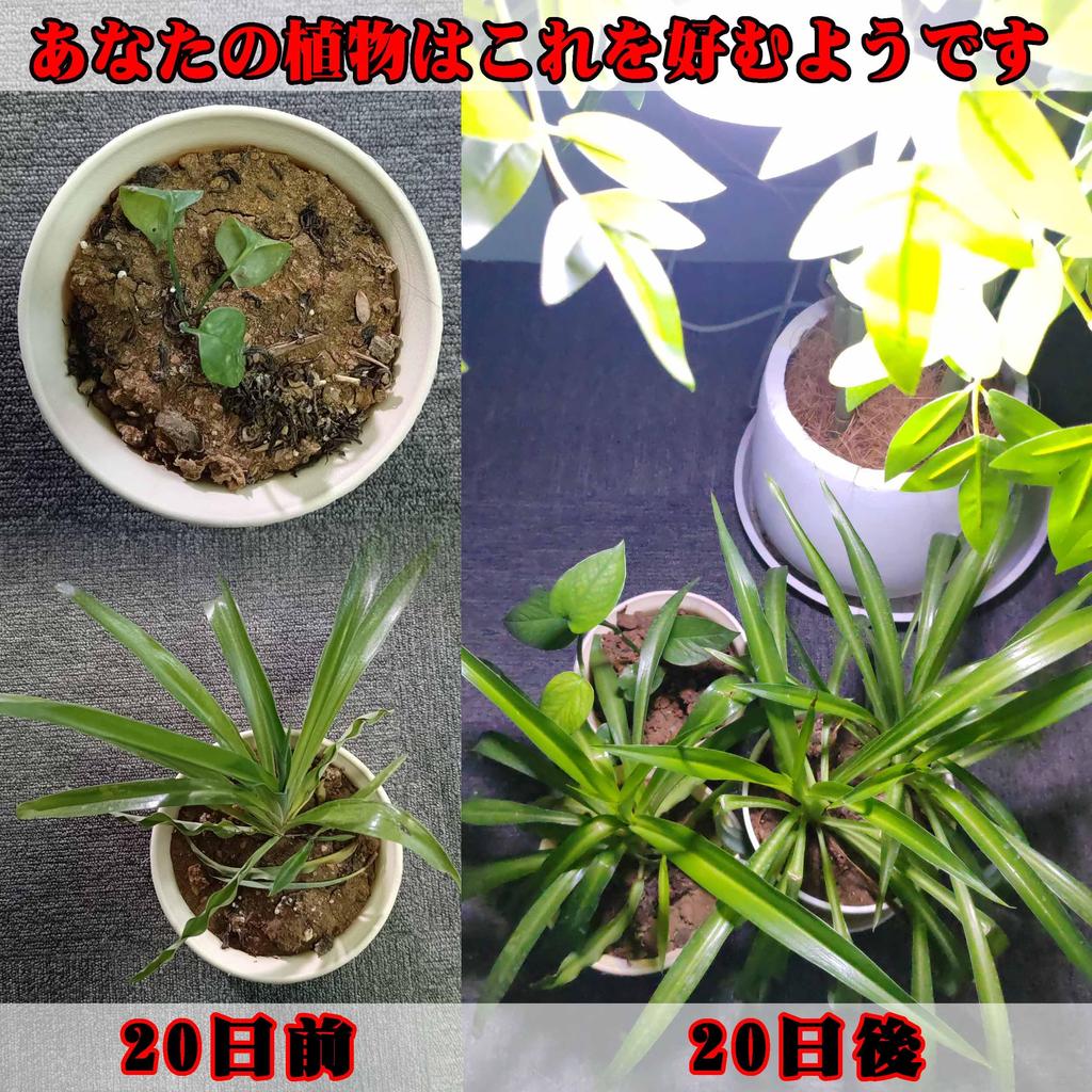 E17 Plant Grow Light, New LED Full Spectrum LED Plant Light, E17 Base, Standard Bulb, Indoor Plant Grow Light, E17 LED Bulbs, Pack of 2