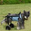 Adjustable Pet Wheelchair Cart Comfortable Rehabilitation Walking Assistant  Outdoor Use