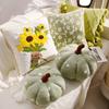 Covers Soft Plush Pumpkin Bohemian Green Knitted Pillow Covers with Tassels Floral Embroidery Cushion Pillow Home Decor Pillows