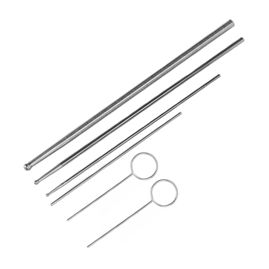 6PCS Schlange Sonde Kit Edelstahl Runde Kopf Anti Allergie Reptilien Schlange Geschlechtsbestimmung Sonde