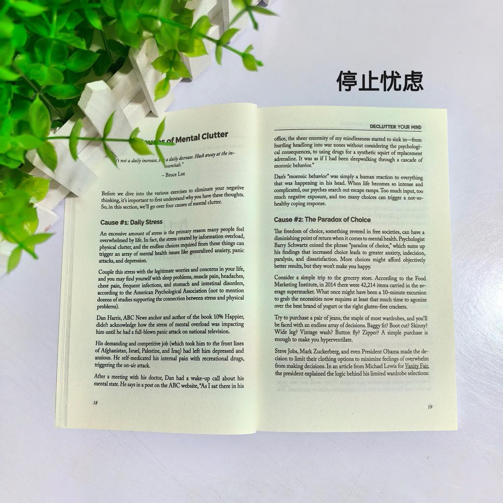 Declutter Your Mind How to Stop Worrying, Relieve Anxiety and Eliminate Negative Thinking Book Paperback