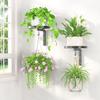 Wall Mounted Floating Flower Display Stand Metal Wall Plant Stand Plant Hangers  Indoor Outdoor