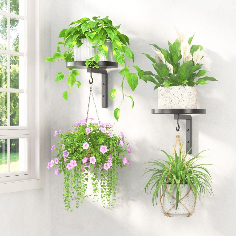 Wall Mounted Floating Flower Display Stand Metal Wall Plant Stand Plant Hangers  Indoor Outdoor