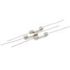 5 Pcs 10A 250V Ceramic Body Axial Lead Fuse For Lcd-Tv Etc 5*20Mm