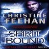 Spirit Bound by Christine Feehan Paperback Book 9780749954741