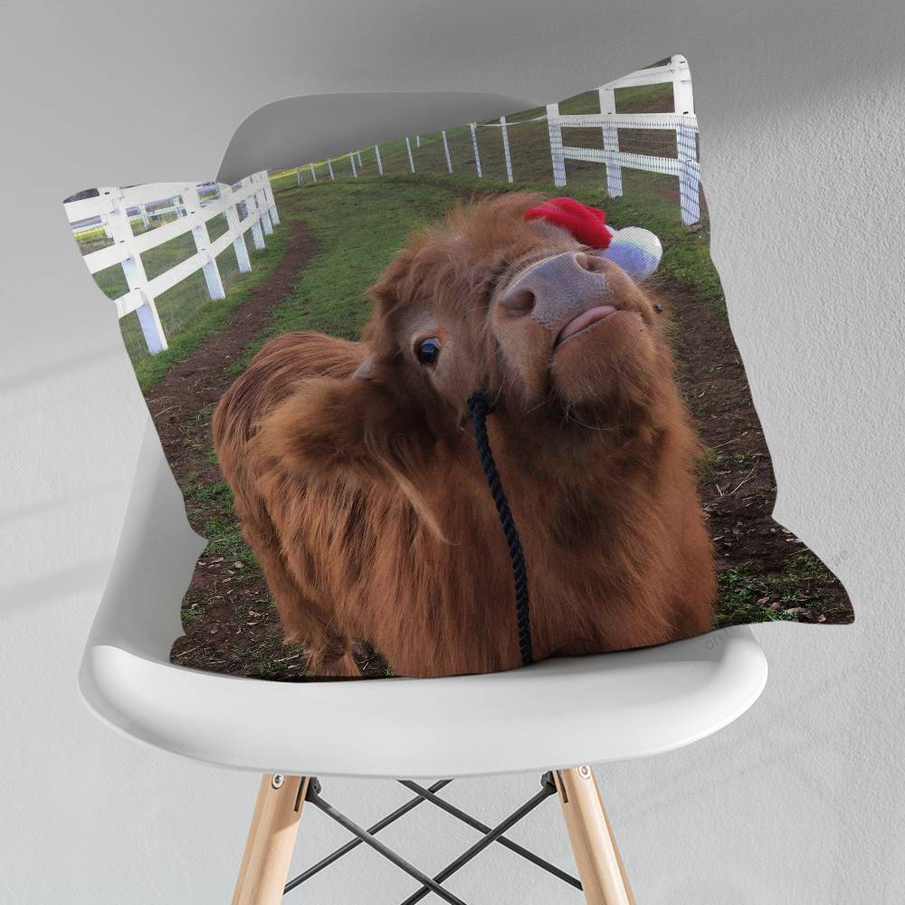 Cute Small Highland Cow Various Sizes Square Pillow Case For Car Home Bedchamber Decor Birthday Gift