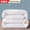 Hengyuanxiang Class A Antibacterial 100% Xinjiang Cotton Quilt
