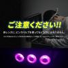 Takenous Takemura Shokai S25 LED Double Bulb 12V/24V BAY15d 180