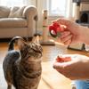 Professioneller Tier-Clicker-Trainer Tragbare Hundetrainings-Clicker Verhaltensmodifikation