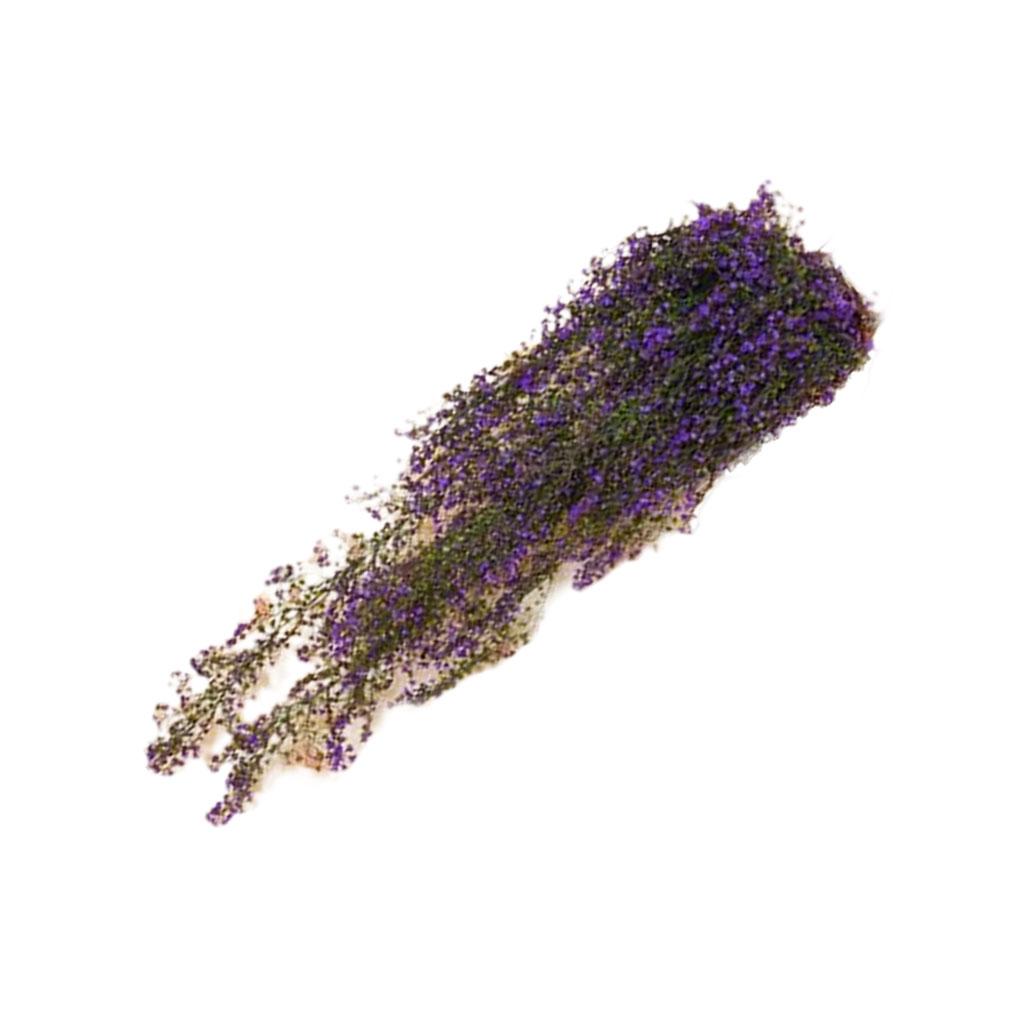 Flores Artificiales Colgantes de Pared Planta Decoración Falsa Regalos de Inauguración de Casa