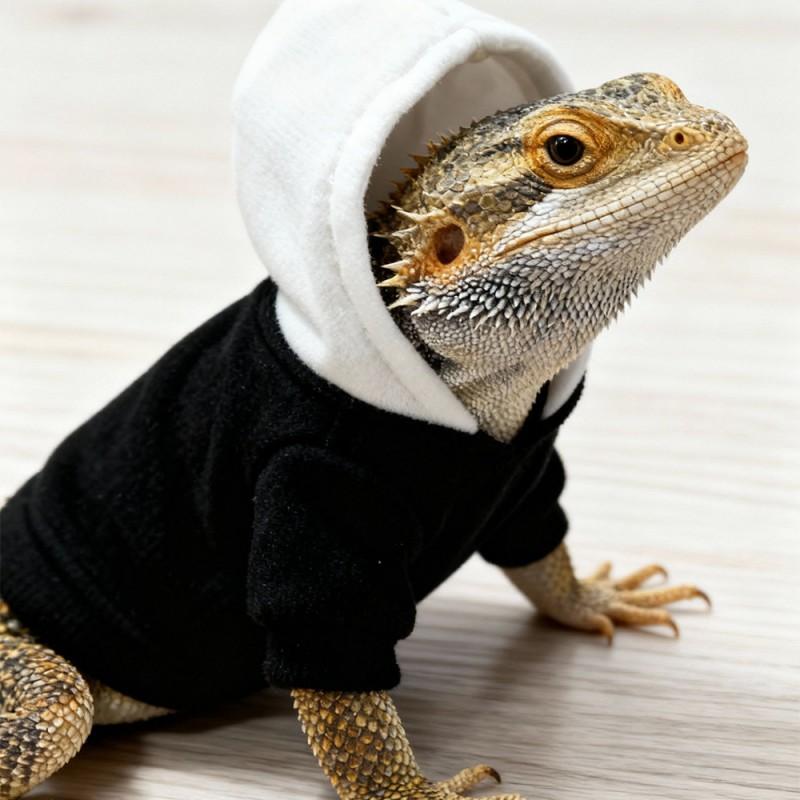 Pet Reptile Hoodie T-Shirt Costume Lizard Walks Outdoor Wear Lightweight Apparel