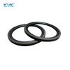 Perfluoroether Piston Hydraulic Reciprocating Seals O-rings