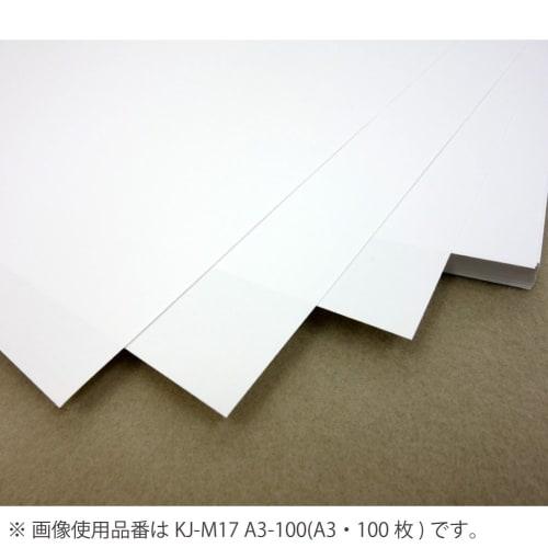 KOKUYO Copy Paper A4 Paper Thickness 0.12mm 100 Sheets Inkjet Printer Paper Standard KJ-M17A4-100