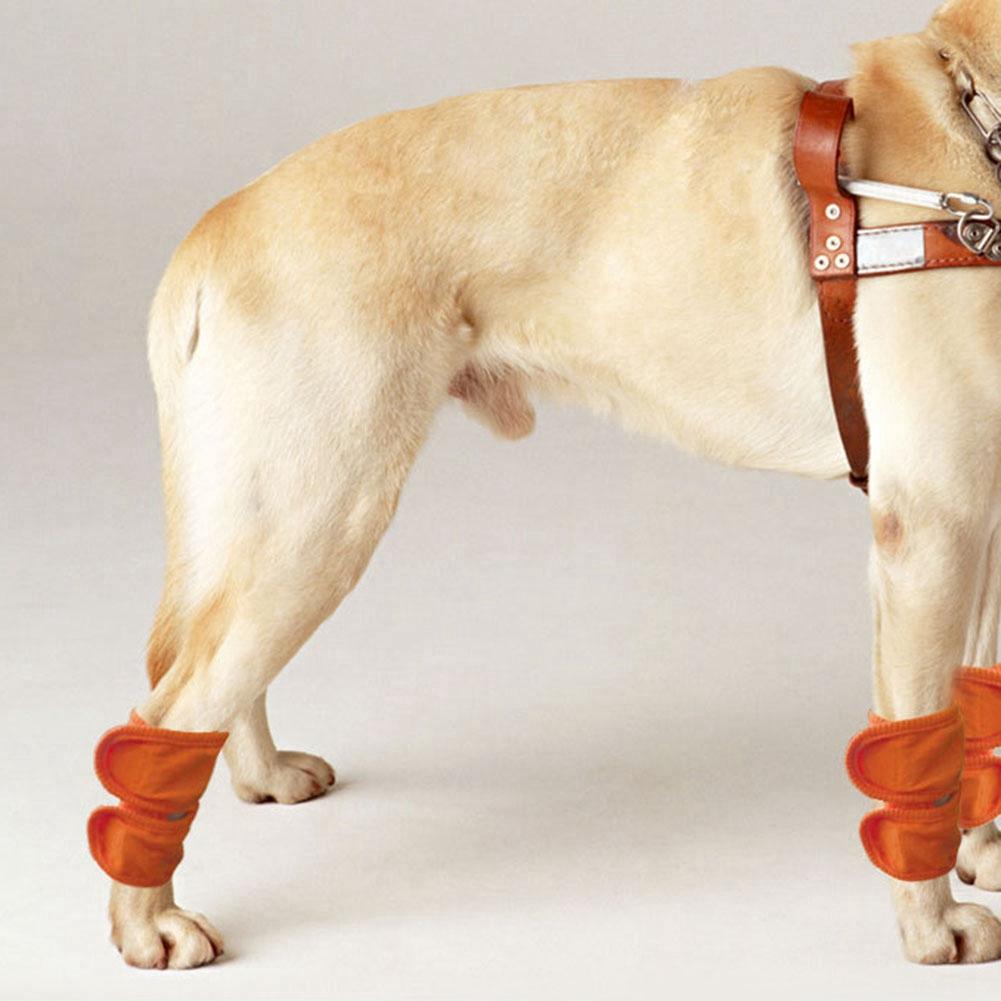 2pcs Dog Cat Leg Brace Elbow Protector Warm Knee Pads Surgery Wound Leggings GuardOrange M