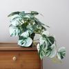 Artificial Turtle Back & Caladium Leaf Plants - Small Potted Decorations for Office, Living Room, or Coffee Table