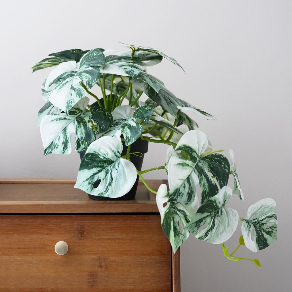 Artificial Turtle Back & Caladium Leaf Plants - Small Potted Decorations for Office, Living Room, or Coffee Table