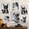 Funny Animal Collies Drinking Champagne Minimalist Animal Portraits Poster Canvas Paintings Wall Art Pictures Home Decor