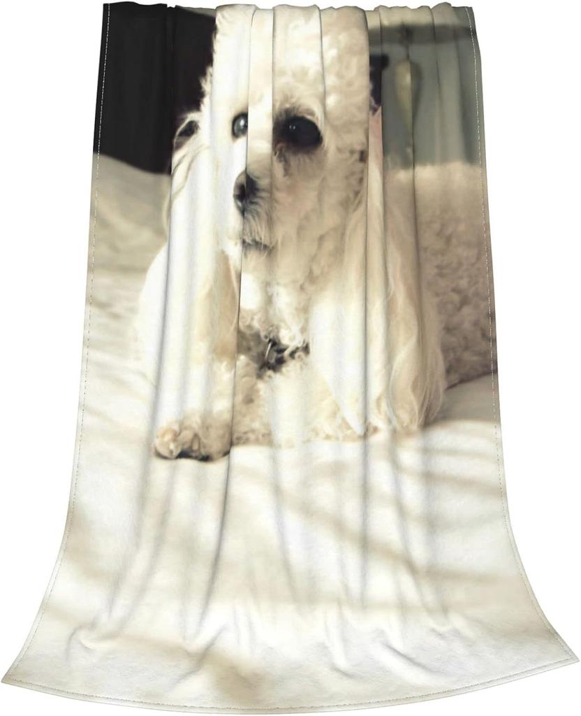 White Poodle Dog Flannel Throw Blanket Cute Pet Puppy Photo Print Soft Warm Blanket Dog Lover Home Decor