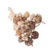 Wooden Parrot Chewing Toy Boredom Relieving Nuts Hanging Bird Foraging Chew Toy for Parrot Cage