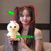 4pcs K-pop Plush Doll 20cm Stuffed Toy JISOO JENNIE ROSE LISA Bornpink Pendants Pillow Gift for Fans