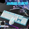 OLOEY 919 Wired Silent Mechanical-Feel Keyboard and Mouse Set