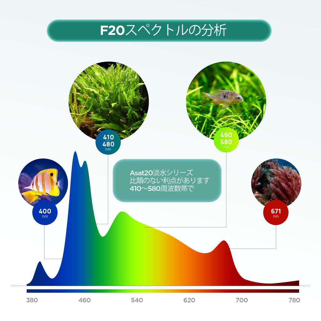 Lominie Aquarium Aquarium LED Tropical Fish Clear Tropical Fish For Aquarium For Compatible with Tropical Ornamental Growing Aquatic Energy Long