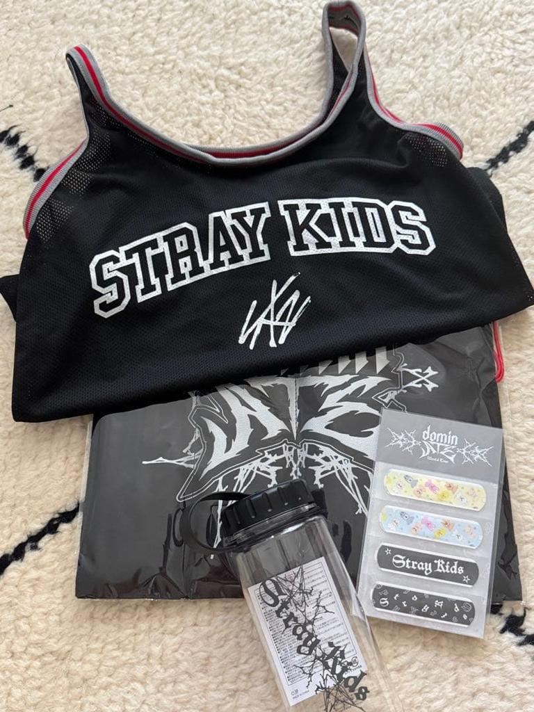 [USED] Stray Kids Ecopa Stadium Upgrade Ticket Original Goods