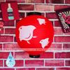 30cm Japanese Izakaya Outdoor Waterproof Decor Lanterns Sake Sushi Lamian Noodles Salmon Cuisine Restaurant Advertising Lantern