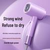 Silent High-Speed Negative Ion Hair Dryer for Home and Dorm Use