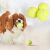 Dog Chew Training Ball Toy Pet Interactive Toy