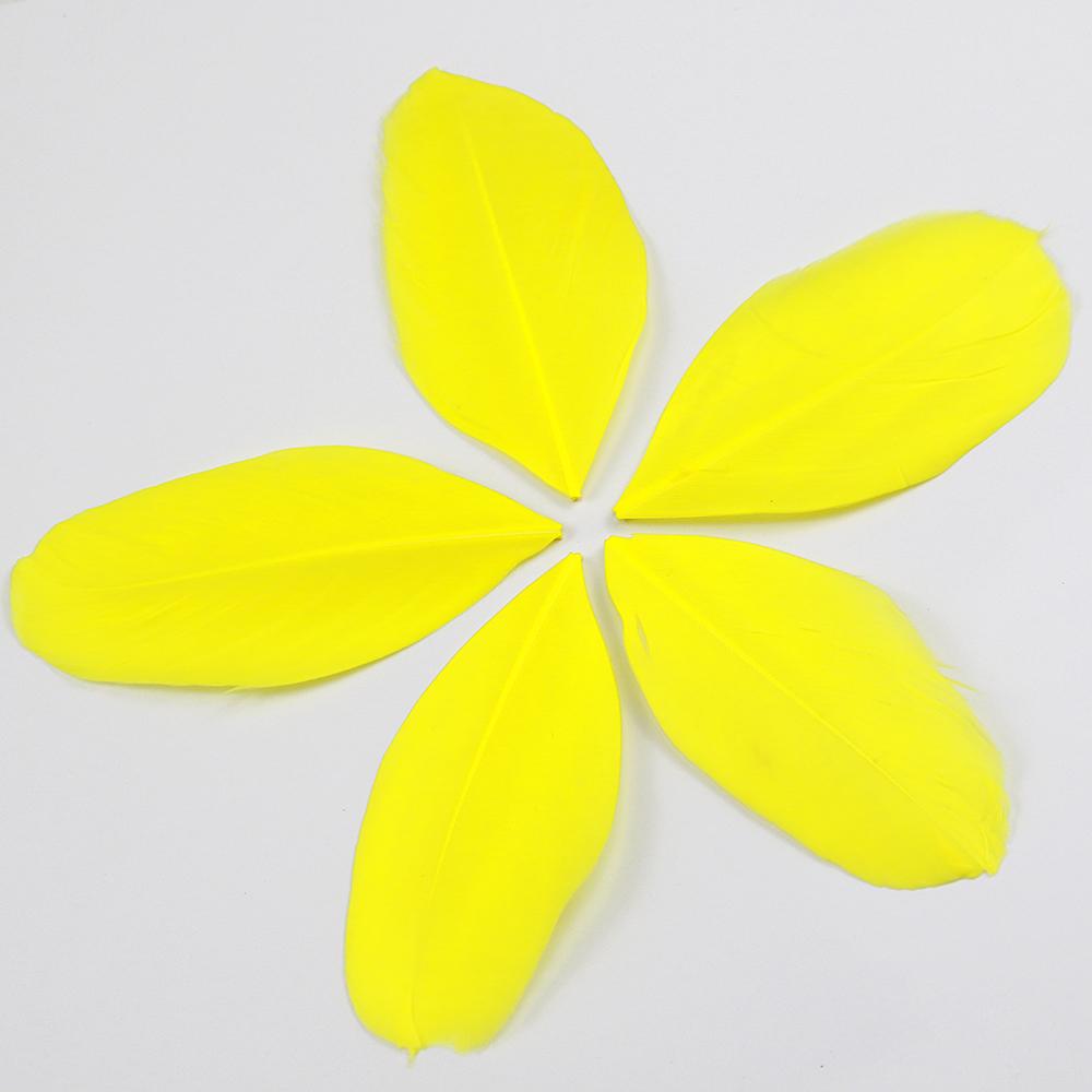 FeatherYellow Feathers for Crafts, 31 Styles Natural Pheasant, Rooster, Duck Feathers Bulk for Costume DIY, Fly Tying,Party Decoration